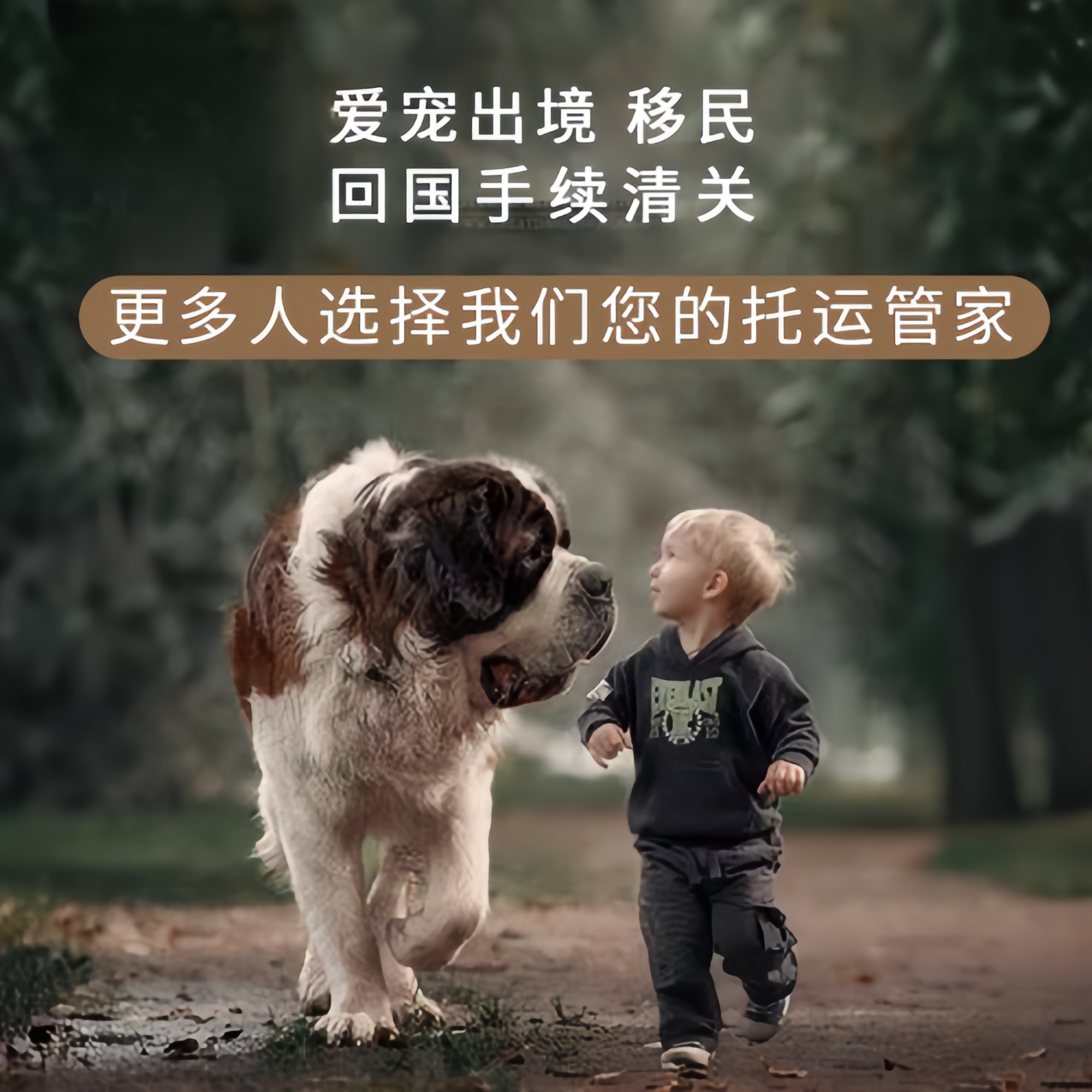 满财宁德市　宠物全球达宠物托运在遵守入境目的地政策的条件